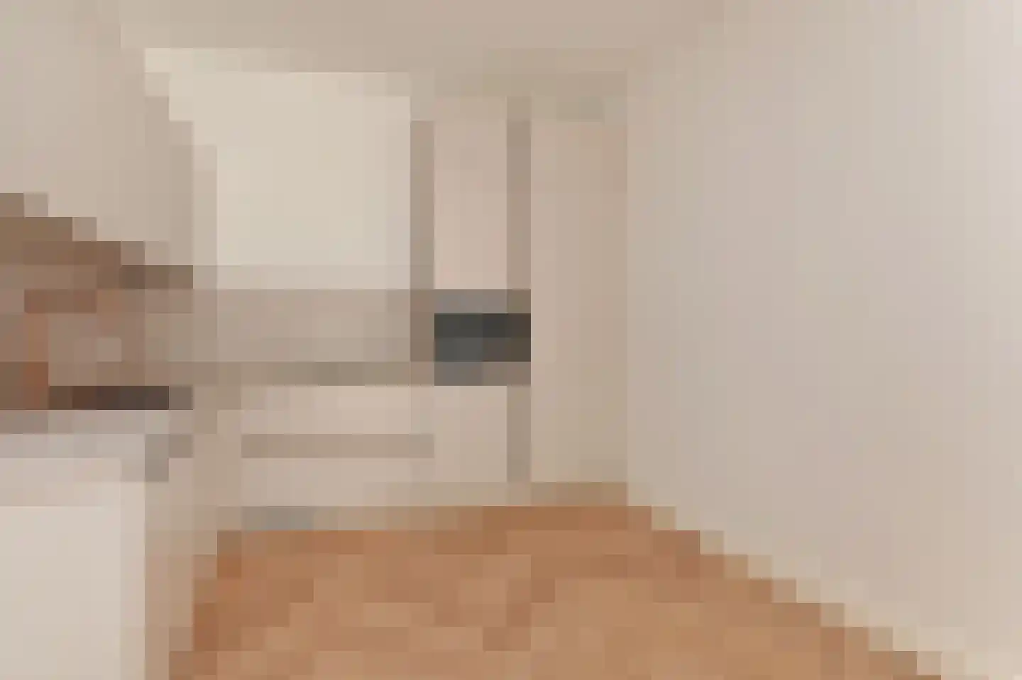 Pisuissestraat 67 Den Haag thumbnail 13