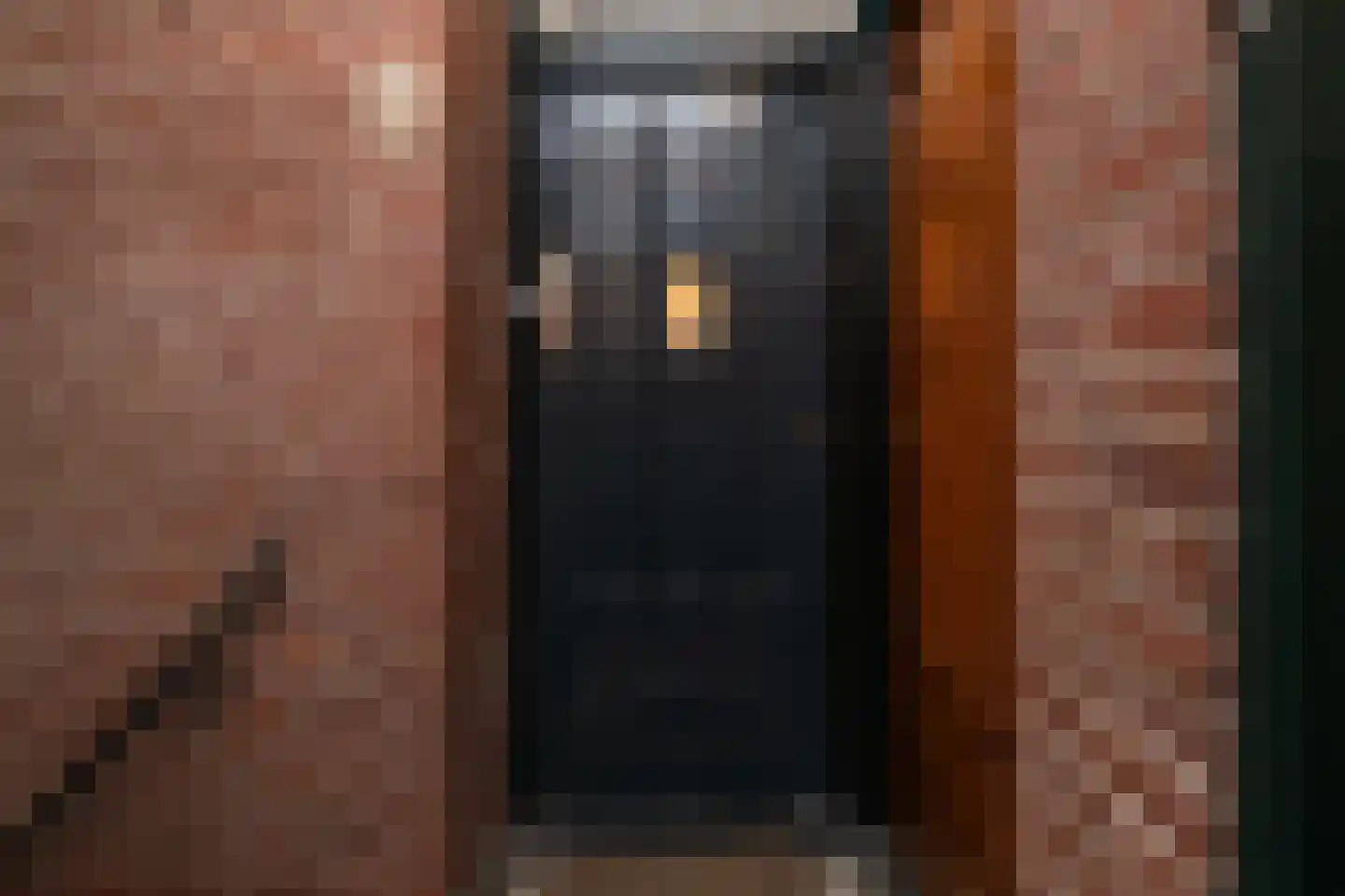 Pisuissestraat 71 Den Haag thumbnail 6
