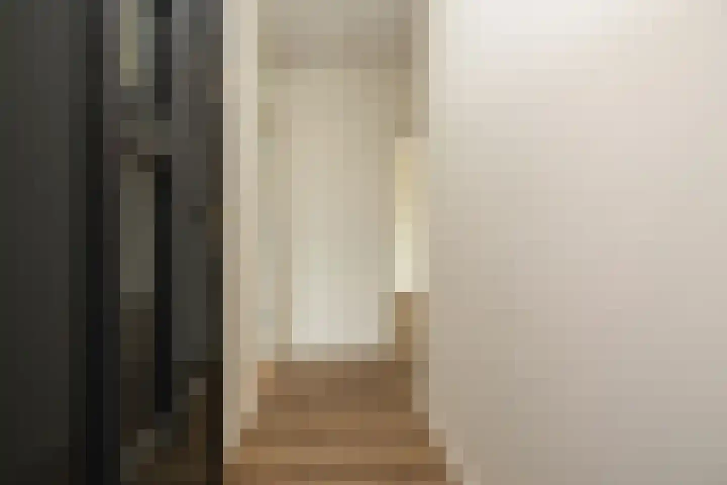 Pisuissestraat 71 Den Haag thumbnail 8