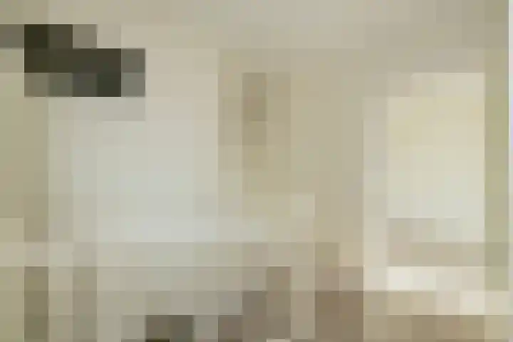 Pisuissestraat 73 Den Haag thumbnail 10