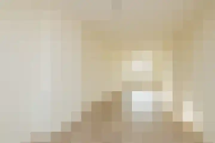 Pisuissestraat 73 Den Haag thumbnail 13