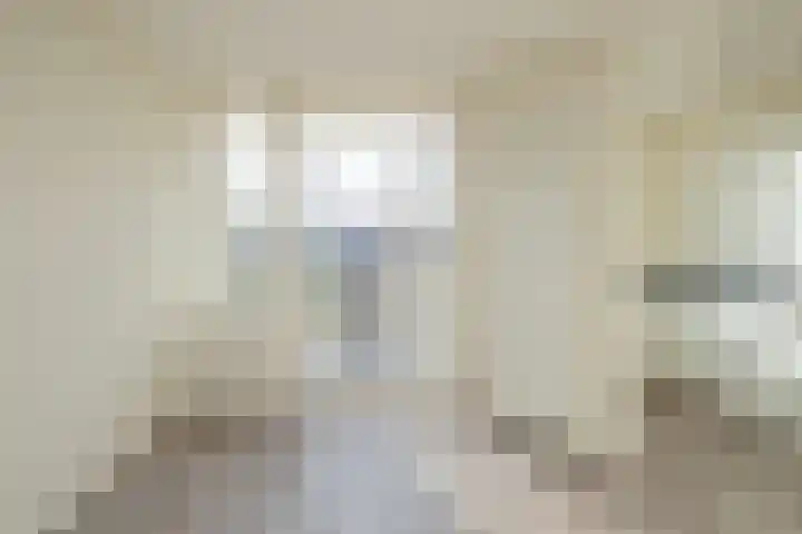 Pisuissestraat 73 Den Haag thumbnail 15