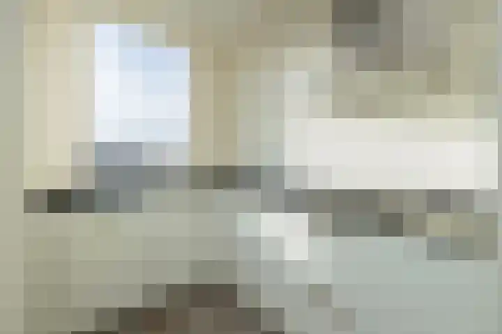 Pisuissestraat 73 Den Haag thumbnail 17