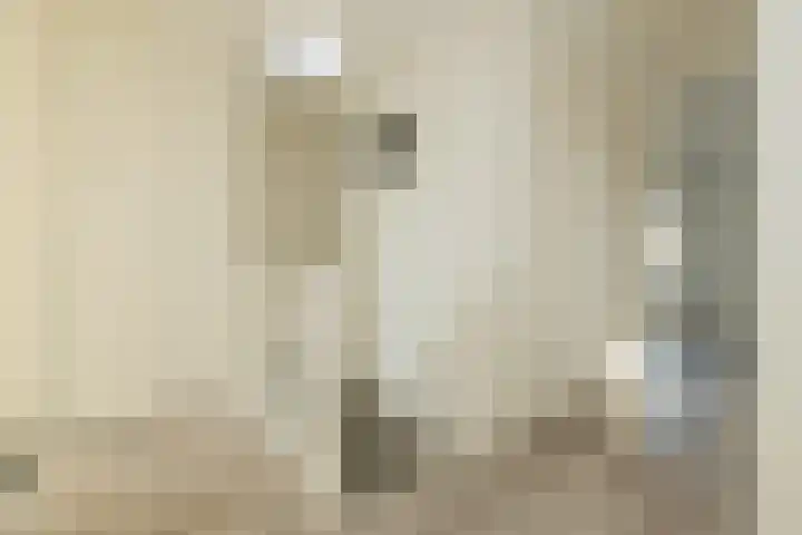 Pisuissestraat 73 Den Haag thumbnail 4