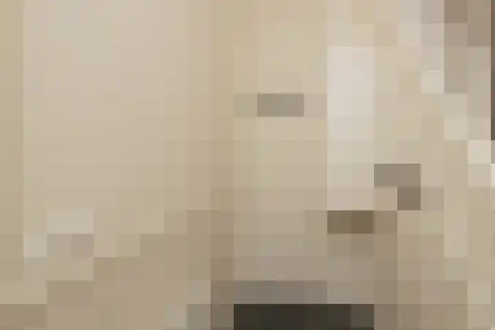 Pisuissestraat 73 Den Haag thumbnail 8