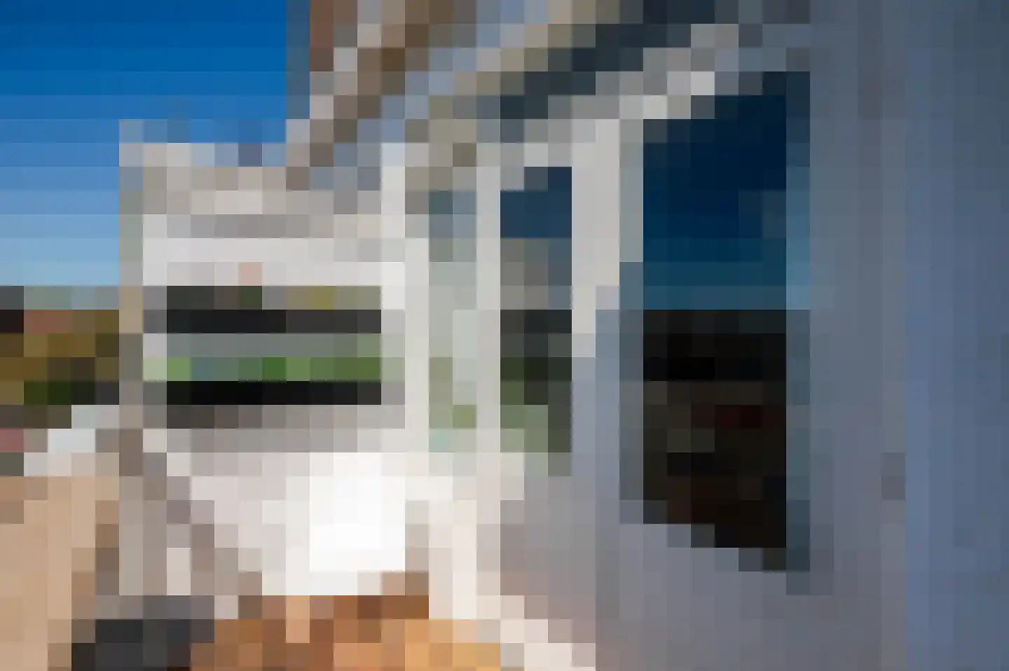 Pisuissestraat 75 Den Haag thumbnail 12