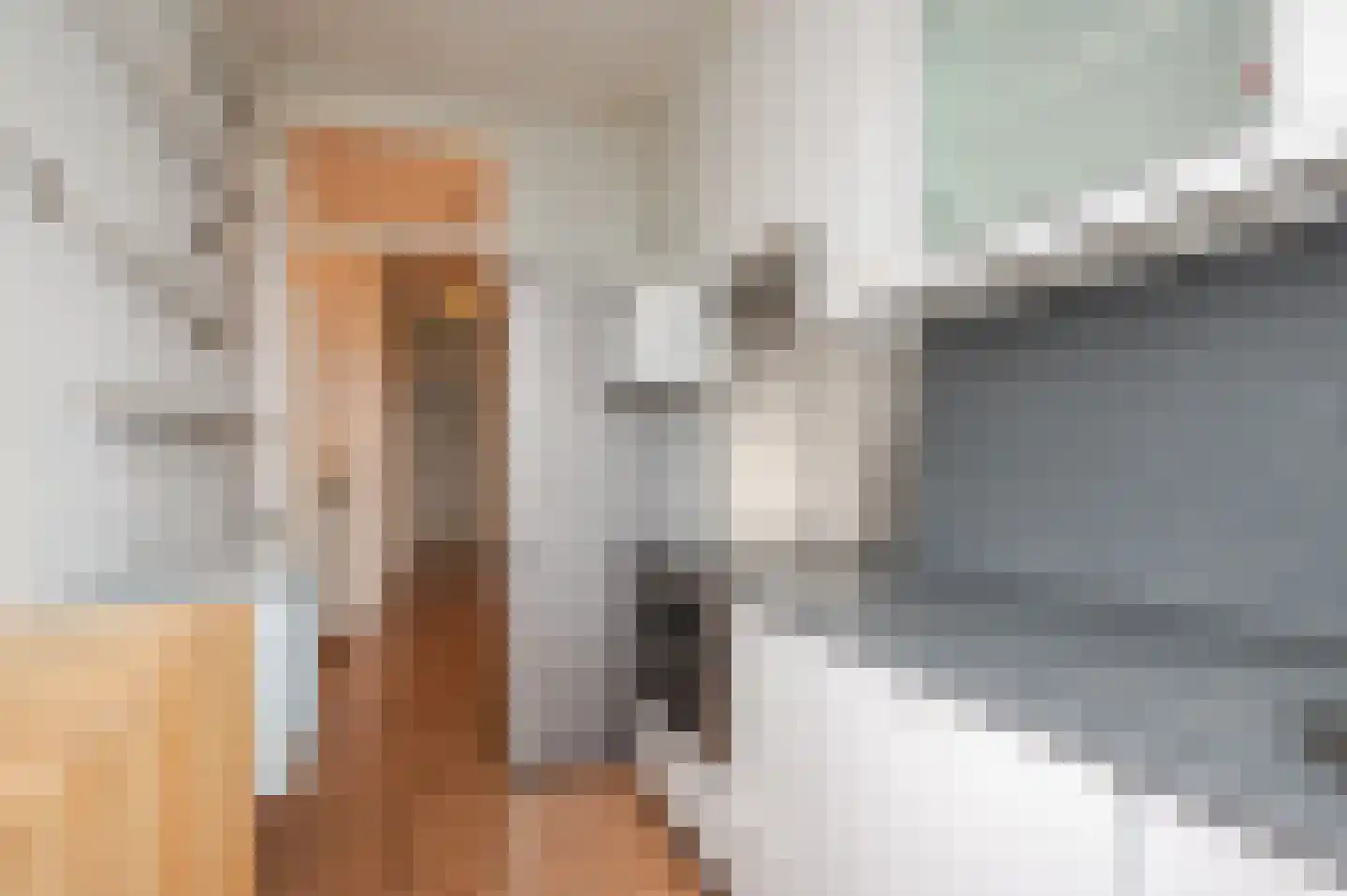 Pisuissestraat 75 Den Haag thumbnail 17