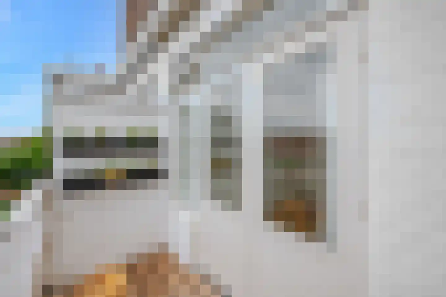 Pisuissestraat 75 Den Haag thumbnail 19