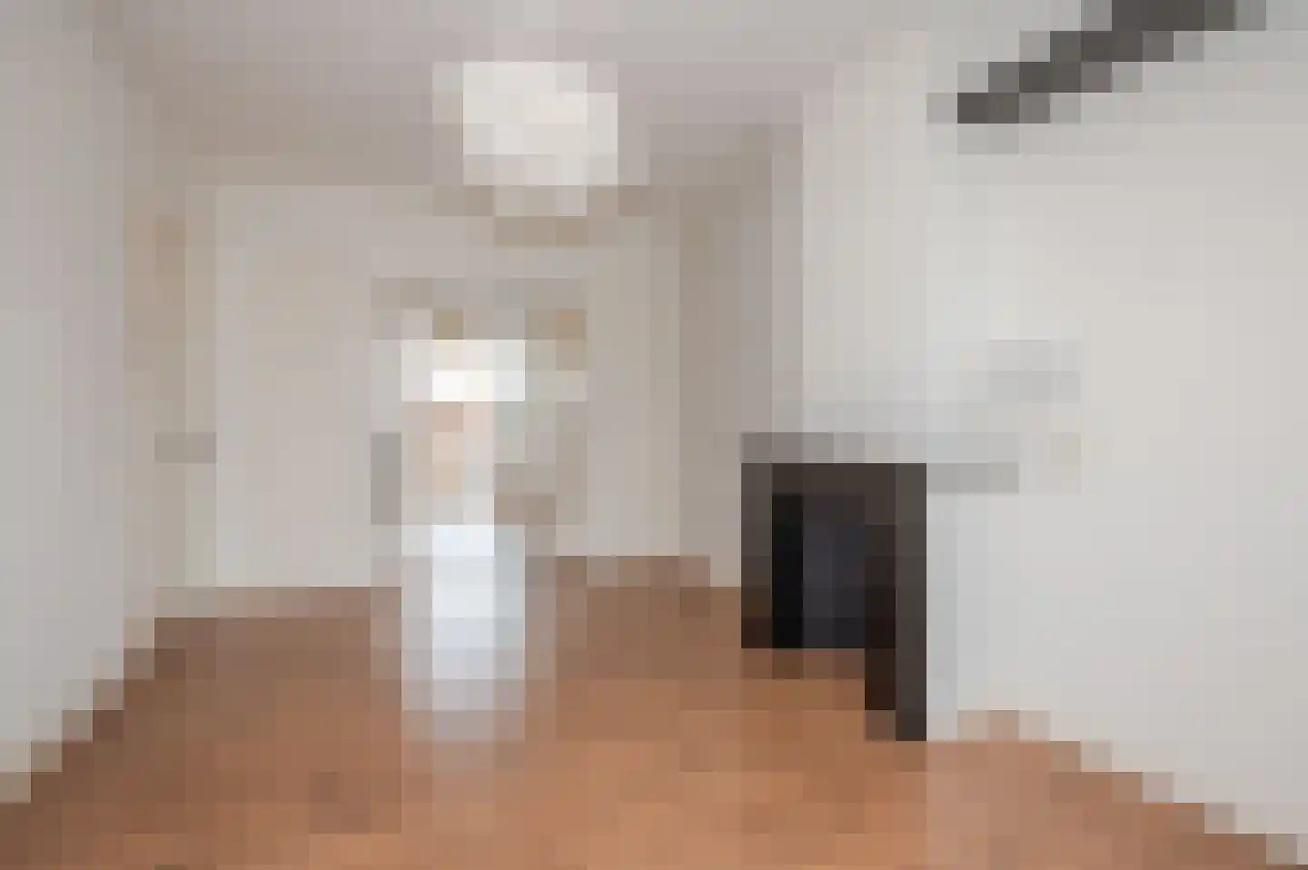 Pisuissestraat 75 Den Haag thumbnail 31