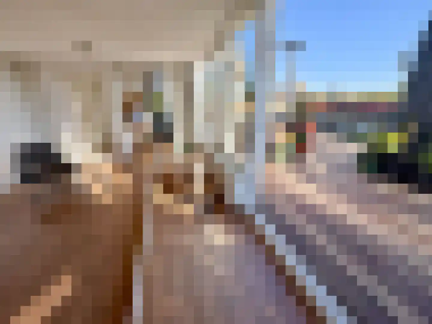 Pisuissestraat 75 Den Haag thumbnail 42
