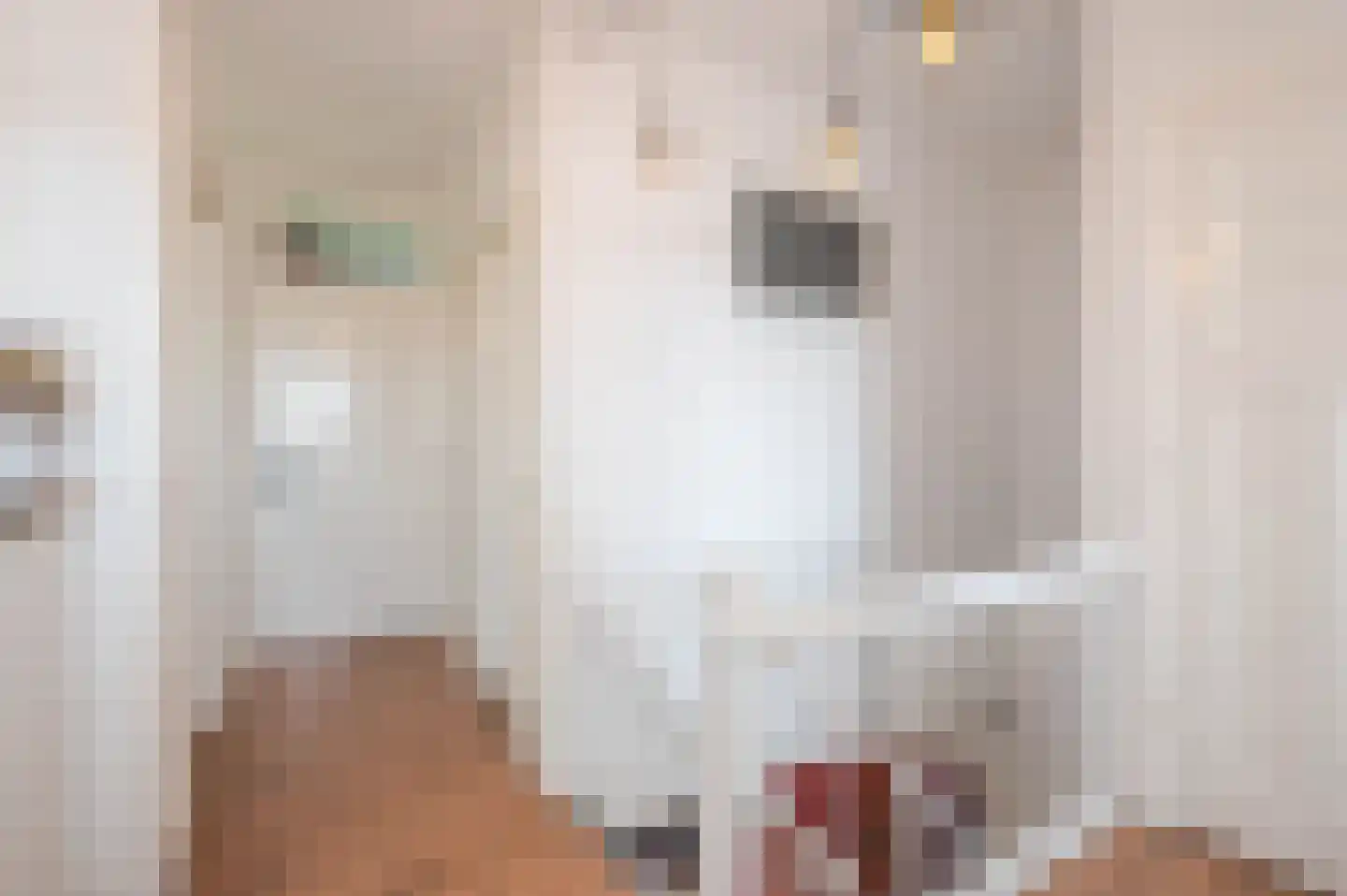 Pisuissestraat 75 Den Haag thumbnail 5
