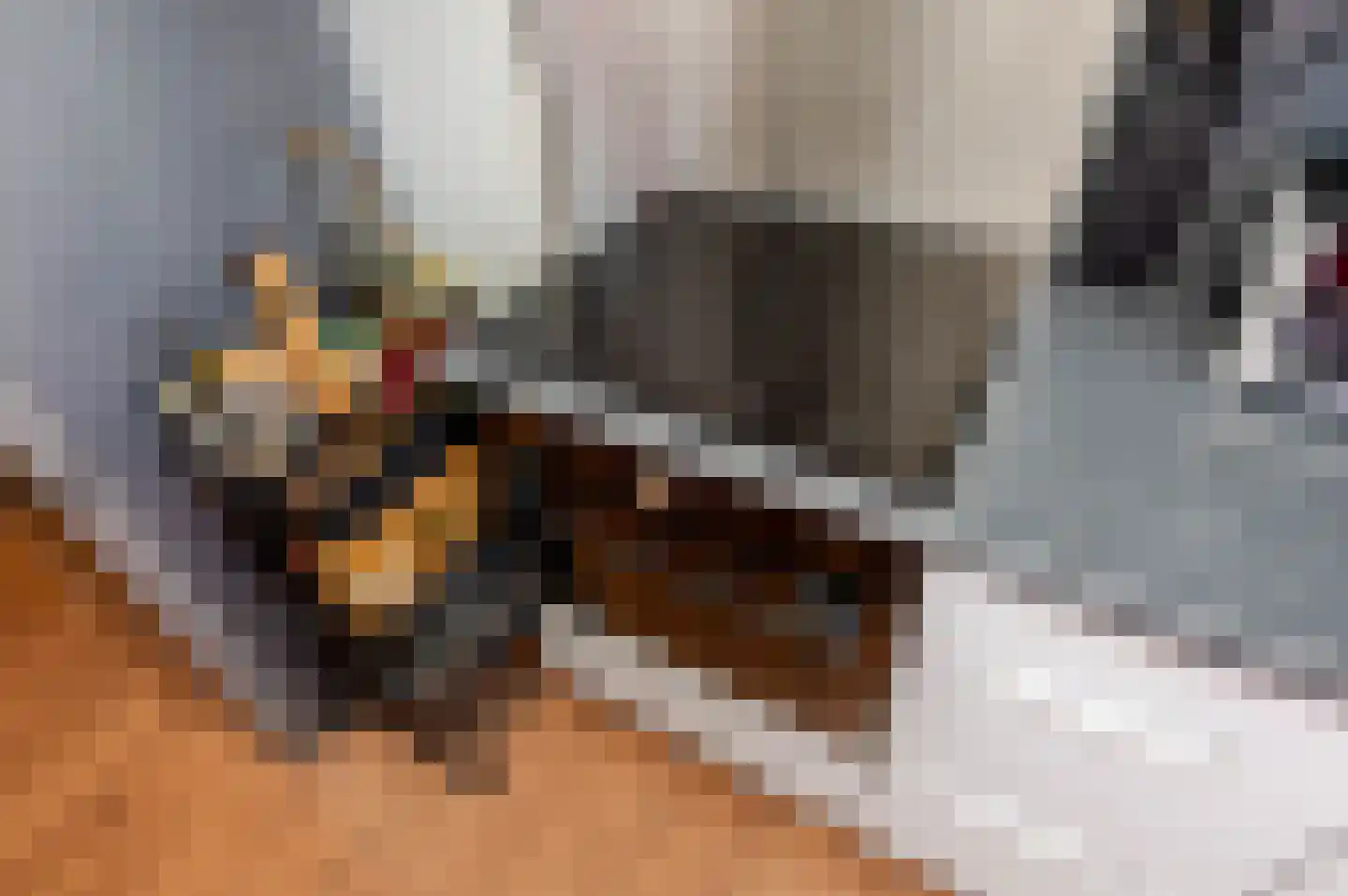 Pisuissestraat 75 Den Haag thumbnail 7
