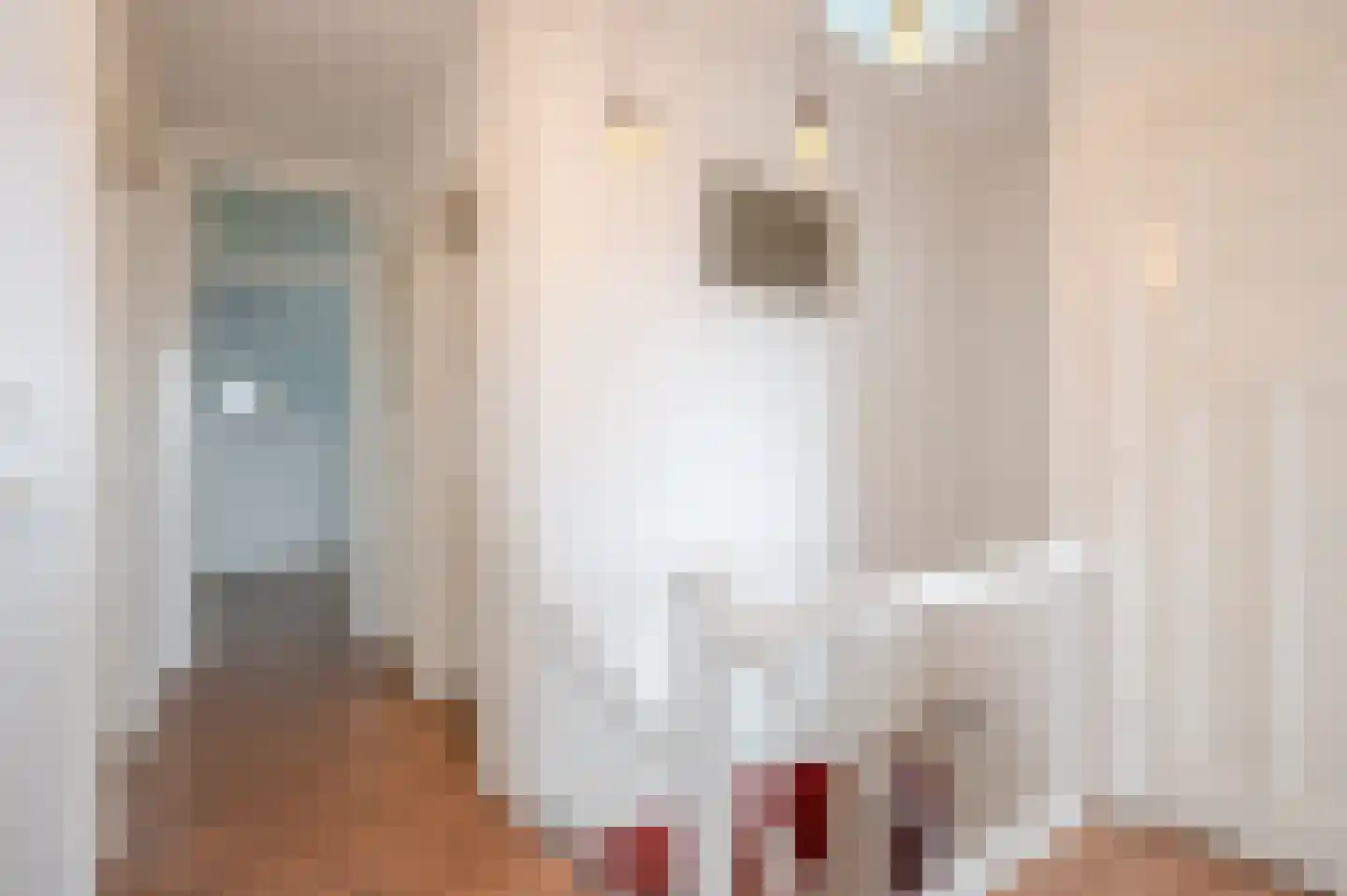 Pisuissestraat 75 Den Haag thumbnail 8