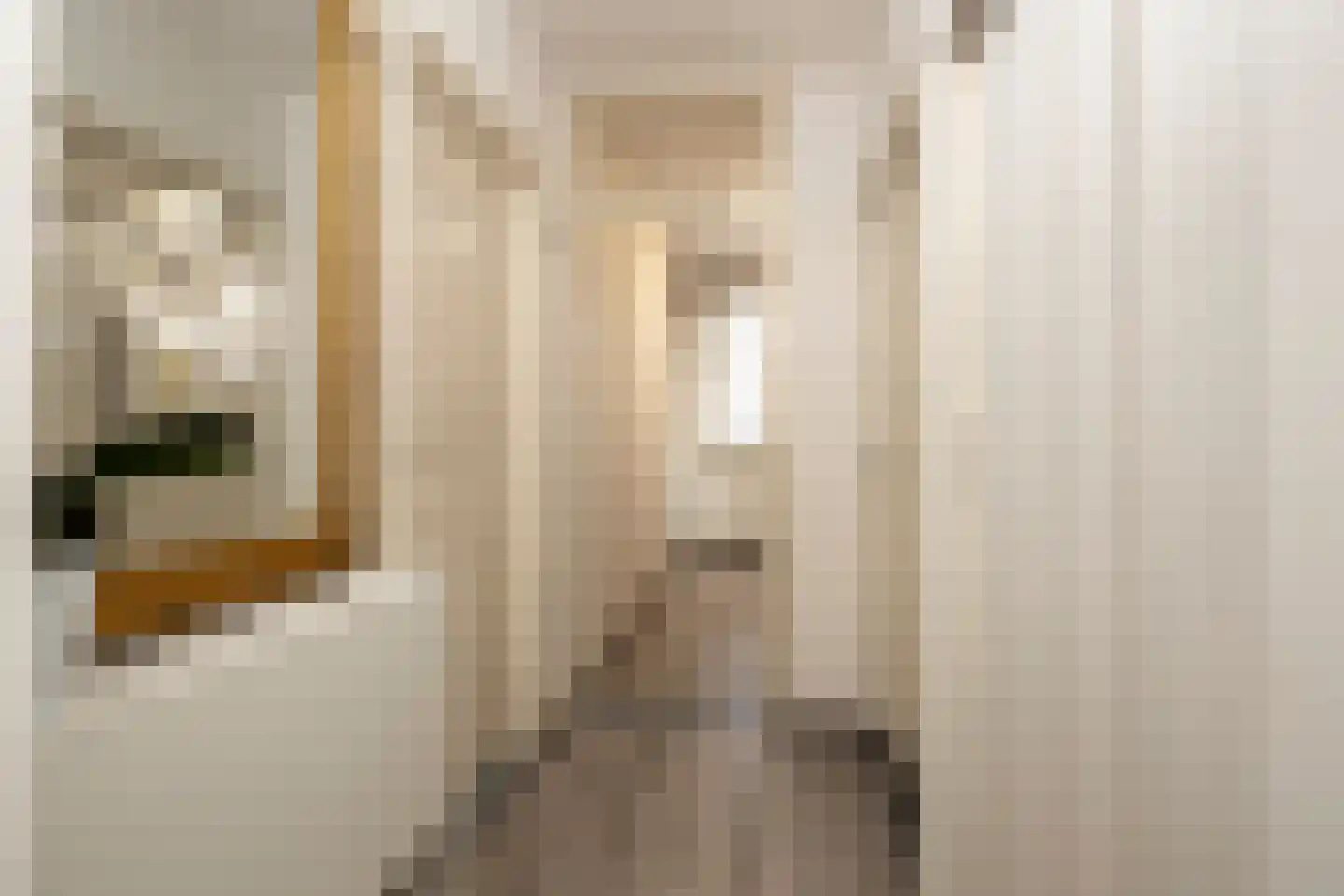 Pisuissestraat 83 Den Haag thumbnail 12