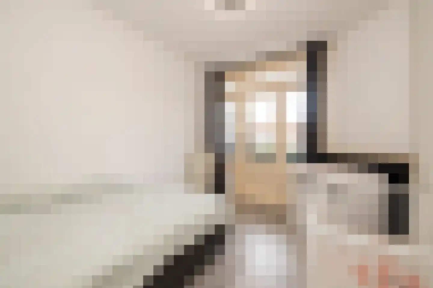 Pisuissestraat 83 Den Haag thumbnail 18