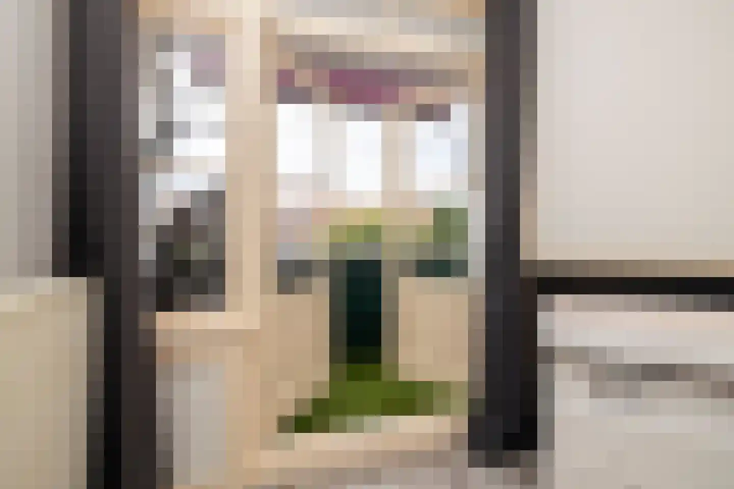 Pisuissestraat 83 Den Haag thumbnail 20