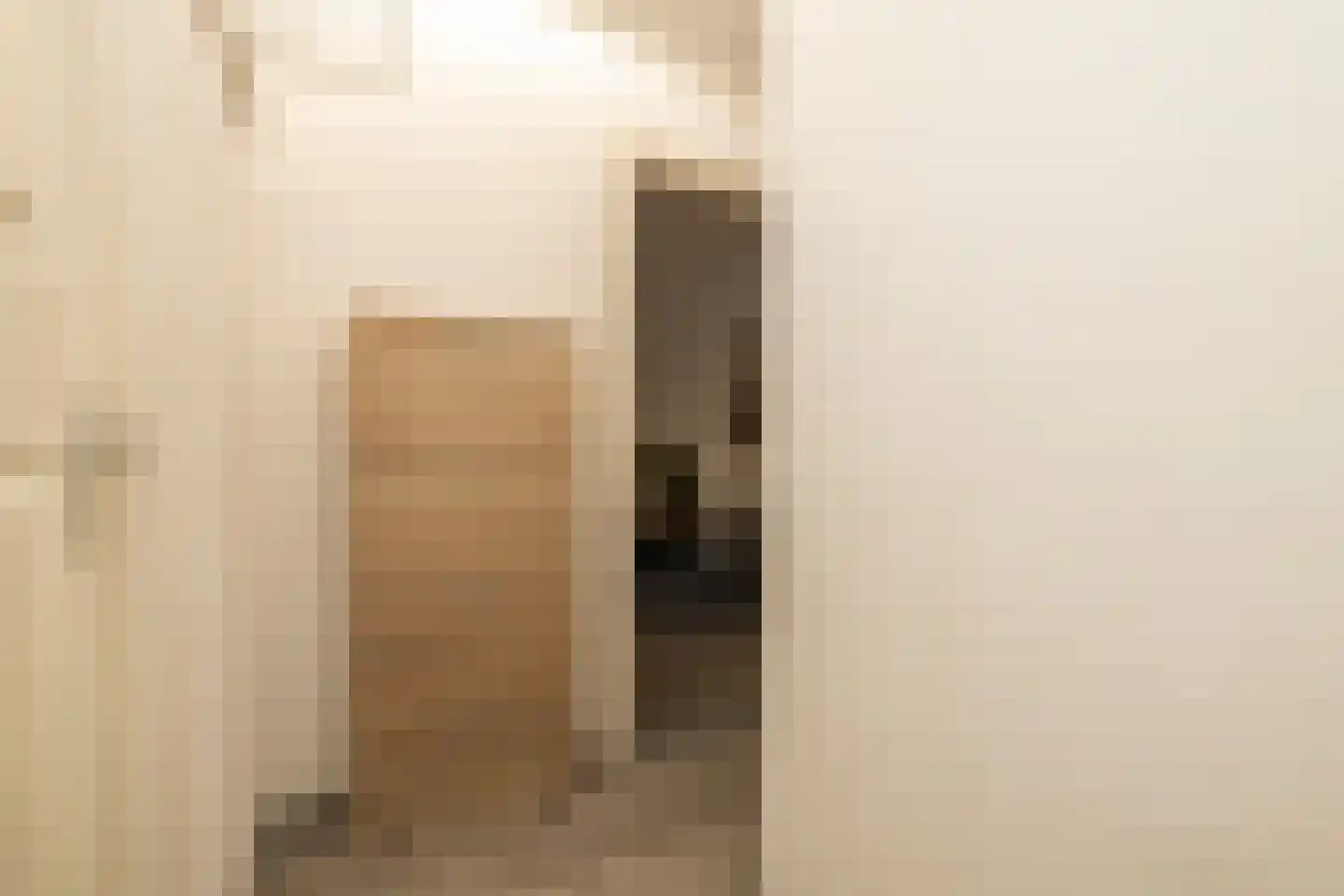 Pisuissestraat 83 Den Haag thumbnail 7