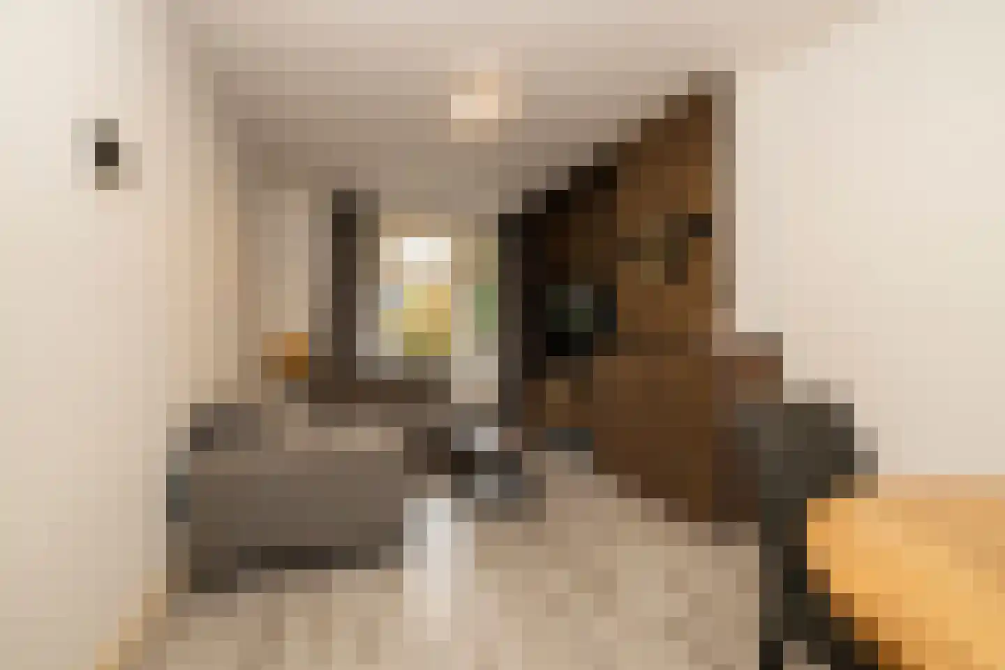 Pisuissestraat 83 Den Haag thumbnail 8