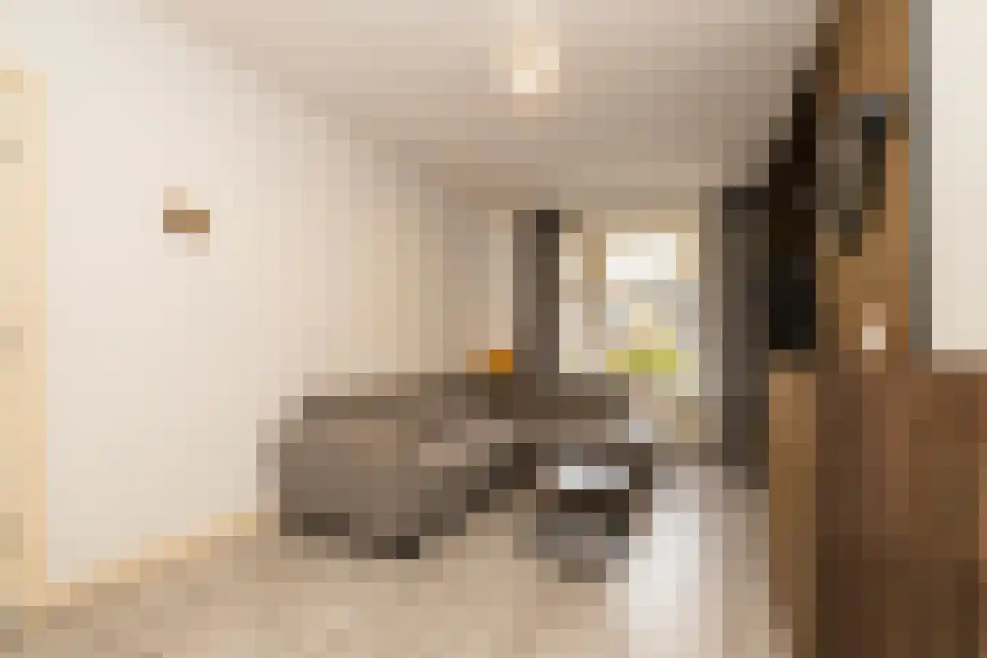 Pisuissestraat 83 Den Haag thumbnail 9