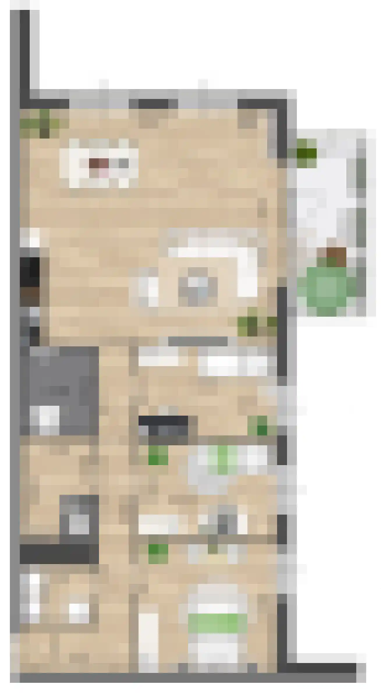 Pitrus 116 Assendelft thumbnail 12