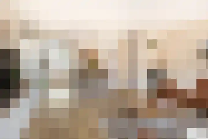 Pitrus 128 Assendelft