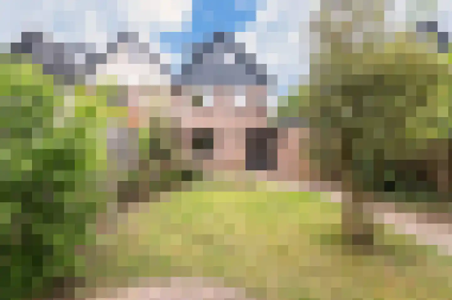 Pitrus 33 Malden thumbnail 30