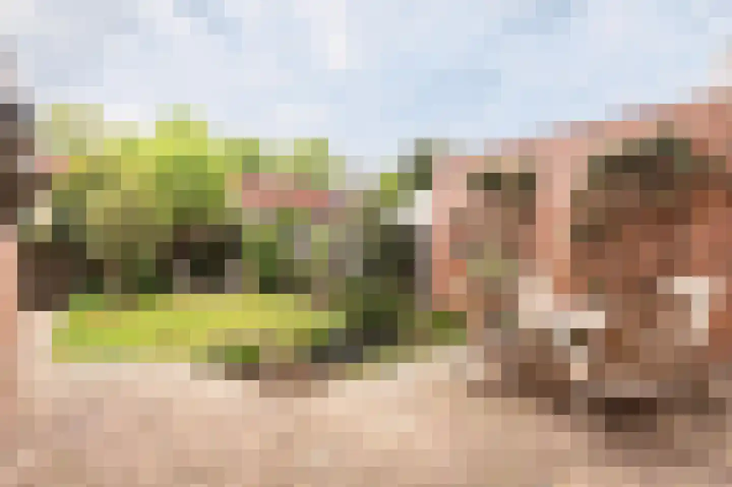 Pitrus 33 Malden thumbnail 34