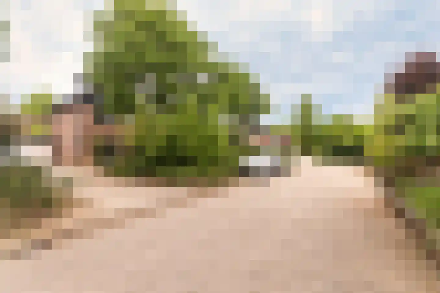 Pitrus 33 Malden thumbnail 36
