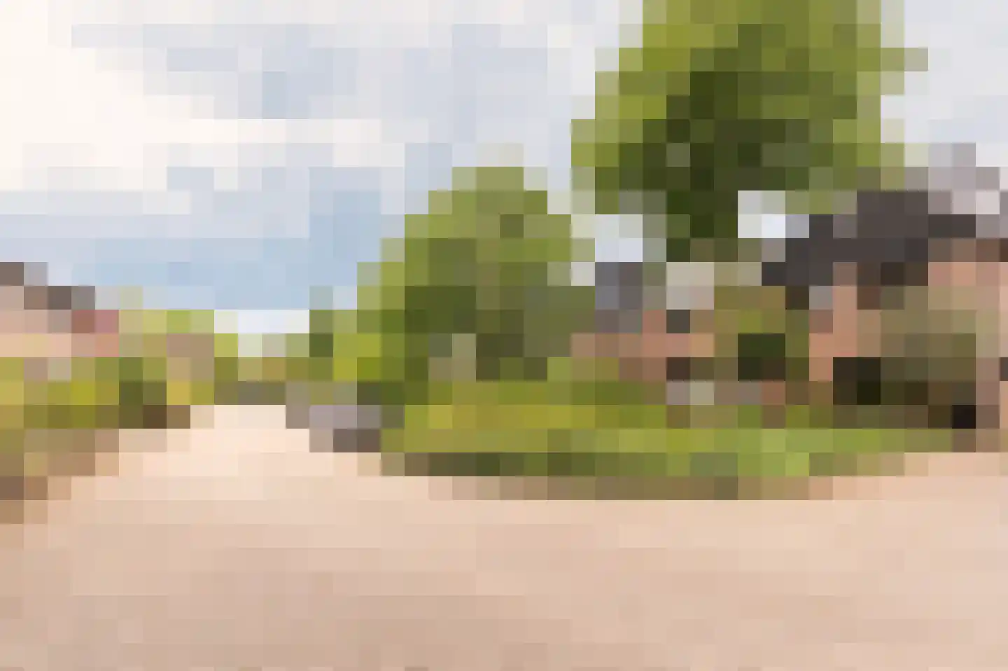 Pitrus 33 Malden thumbnail 37