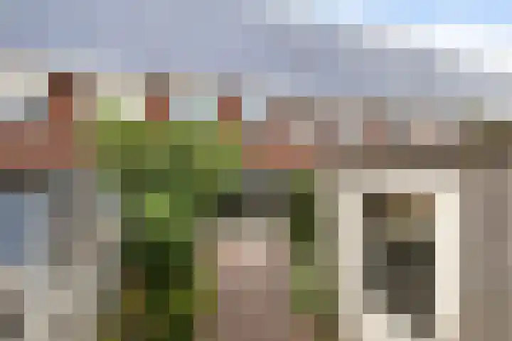 Pitrus 34 Amersfoort thumbnail 23