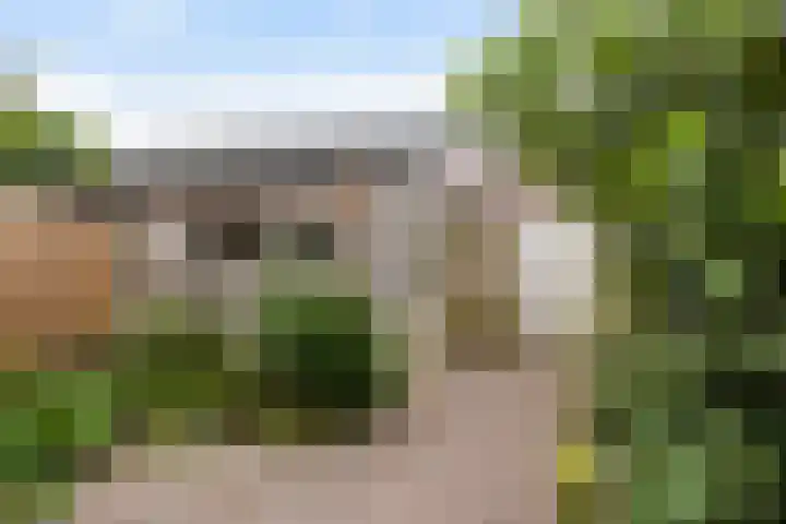 Pitrus 34 Amersfoort thumbnail 24