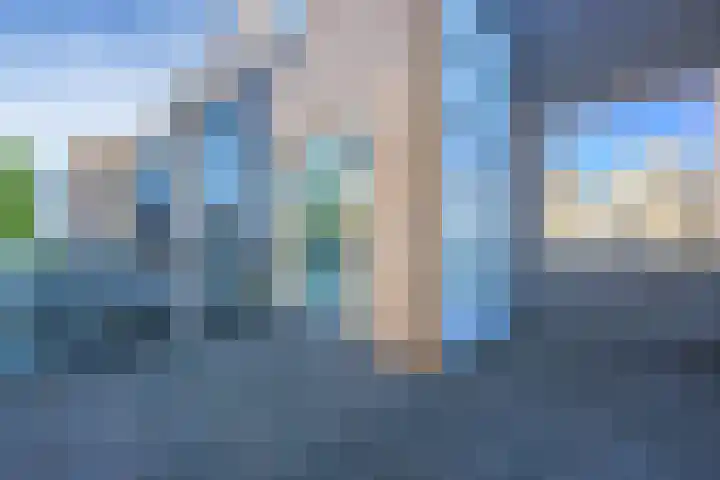 Pitrus 37 Amersfoort