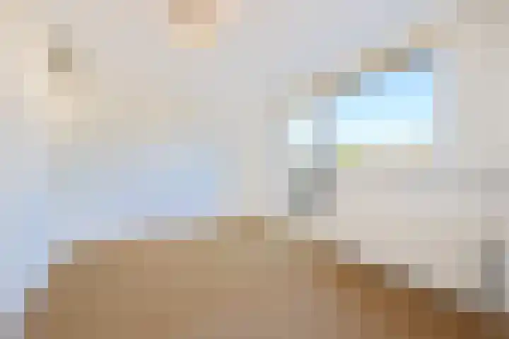 Pitrus 37 Amersfoort thumbnail 22