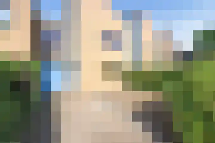 Pitrus 37 Amersfoort thumbnail 27