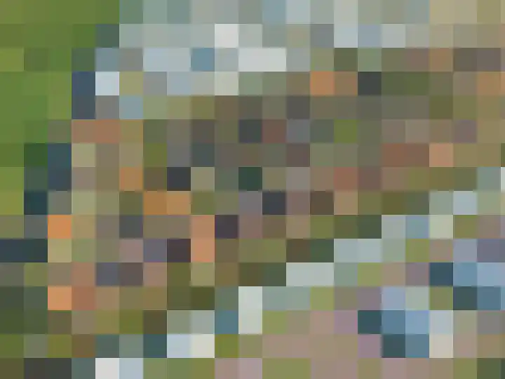 Pitrus 38 Assendelft thumbnail 5