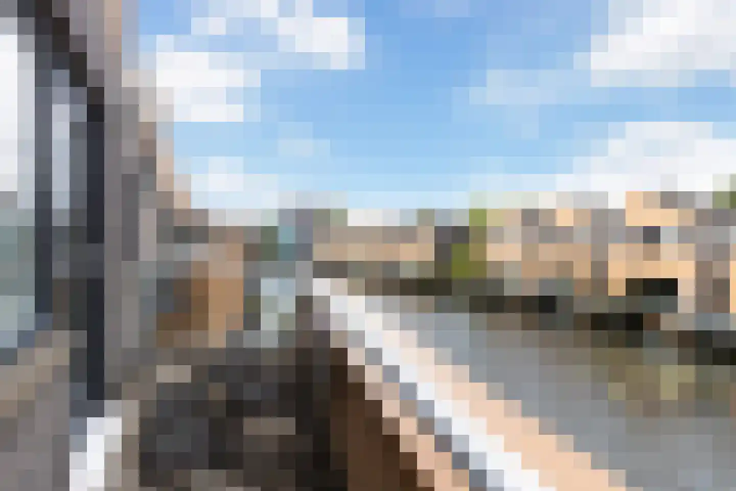 Pitrus 39 Amersfoort thumbnail 24