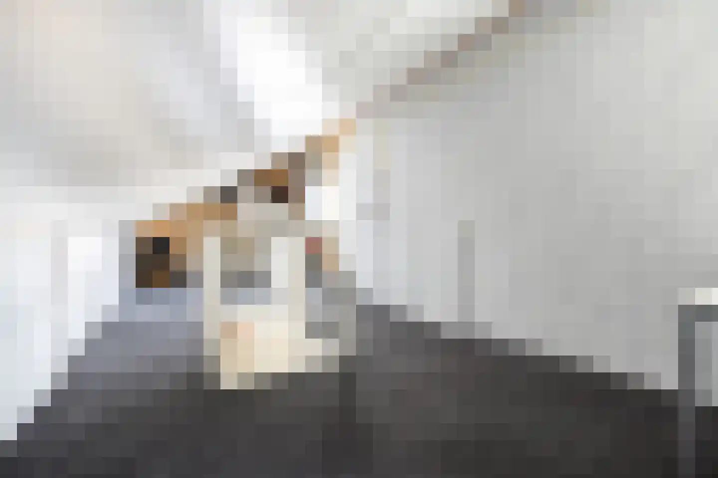 Pitrus 39 Amersfoort thumbnail 34