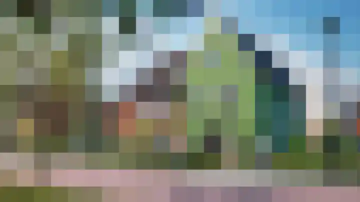 Pitrus 50 Assendelft