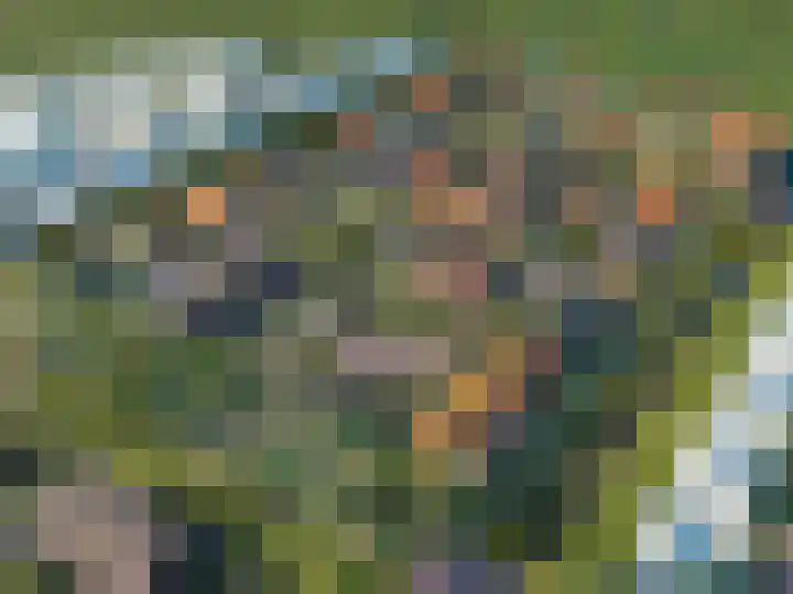 Pitrus 50 Assendelft thumbnail 5