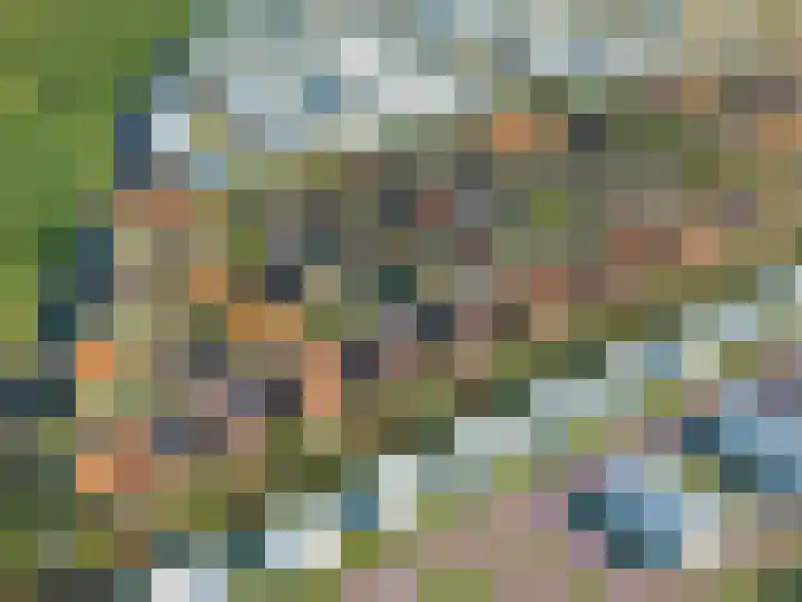 Pitrus 50 Assendelft thumbnail 6