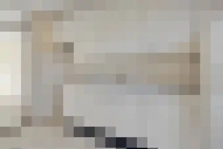 Pitrus 7 Malden thumbnail 10