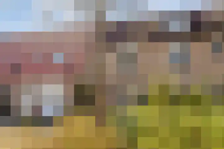 Pitrus 7 Malden foto 2