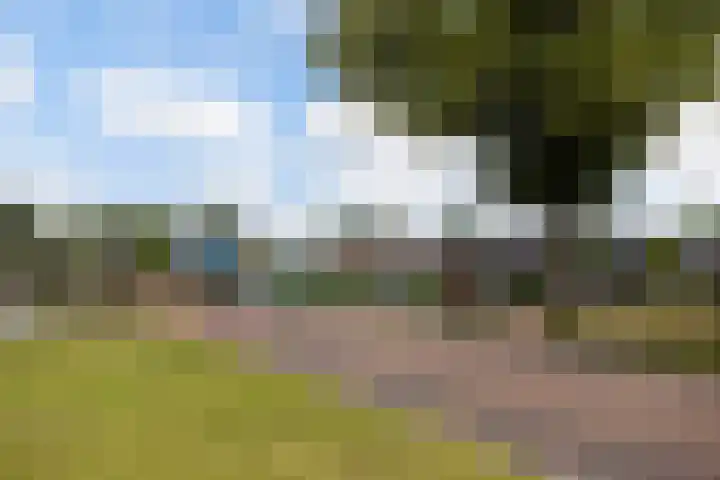 Pitrus 7 Malden thumbnail 21