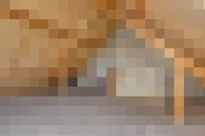 Pitrus 7 Malden thumbnail 22