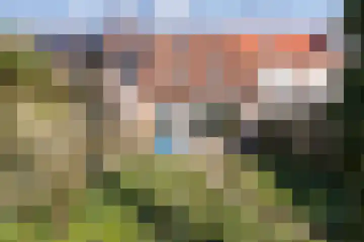 Pitrus 7 Malden thumbnail 26