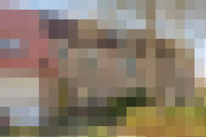 Pitrus 7 Malden thumbnail 28