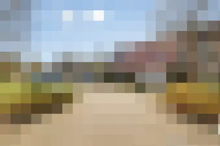 Pitrus 7 Malden thumbnail 29