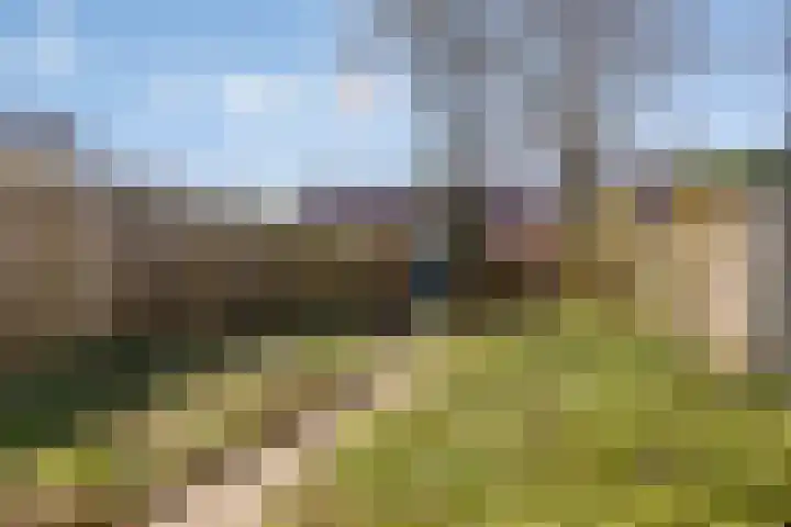 Pitrus 7 Malden foto 3