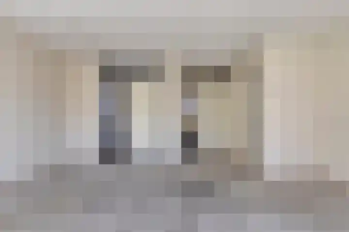 Pitrus 7 Malden thumbnail 7