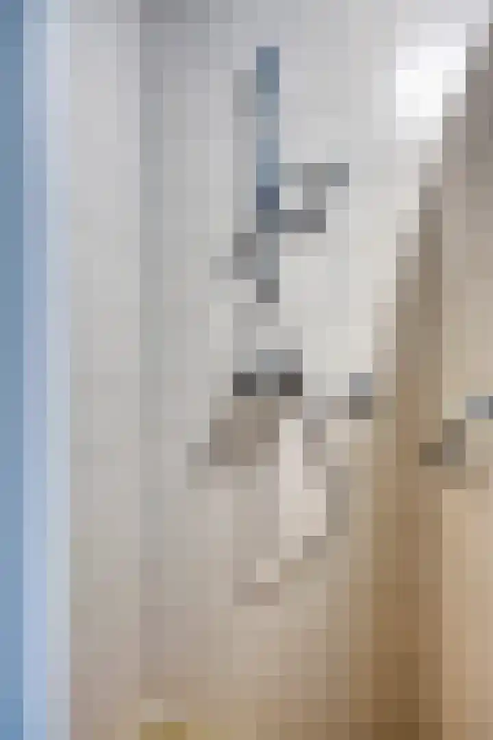 Pitrus 71 Malden thumbnail 18